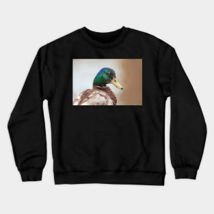 Mallard Male Crewneck Sweatshirt